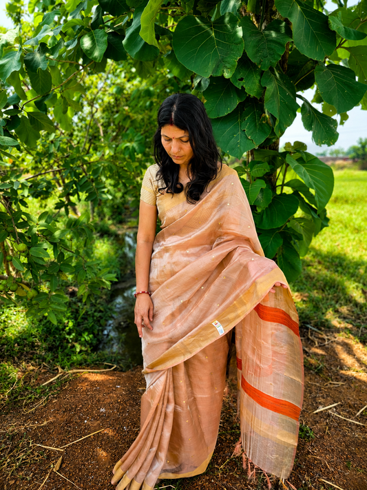 Pure Handloom Tussar Tissue Zari sequin Woven Saree