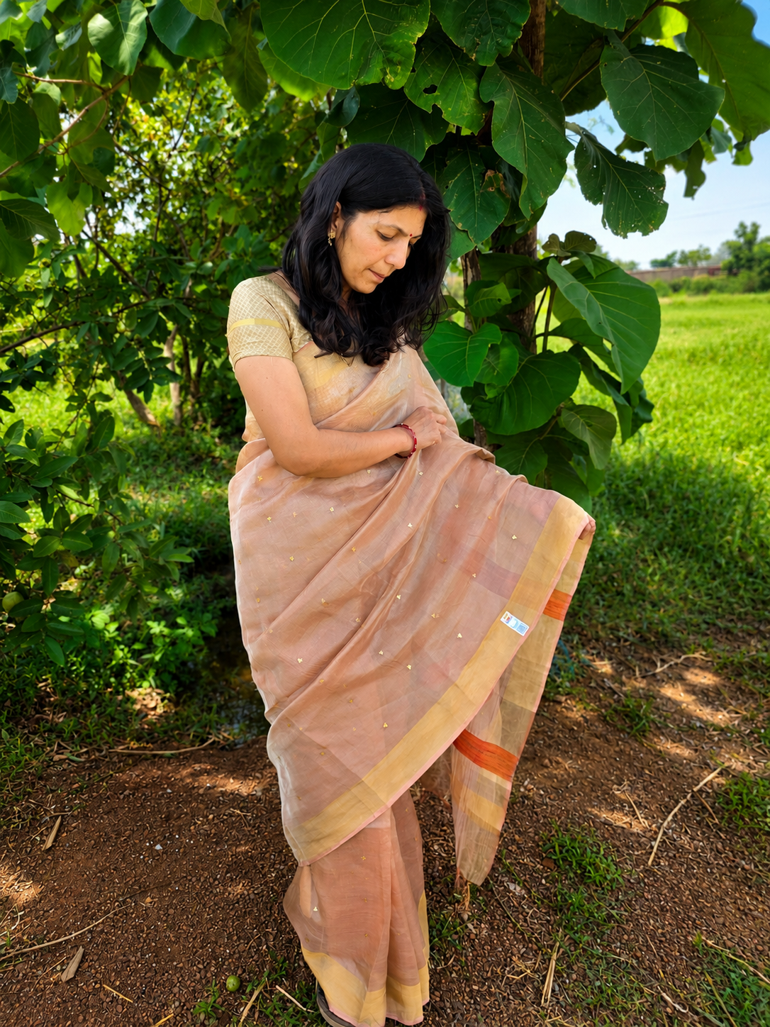Pure Handloom Tussar Tissue Zari sequin Woven Saree