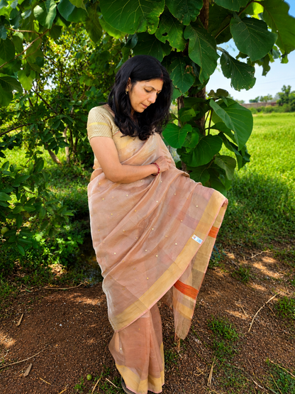 Pure Handloom Tussar Tissue Zari sequin Woven Saree